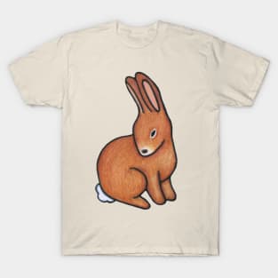 little bunny rabbit T-Shirt